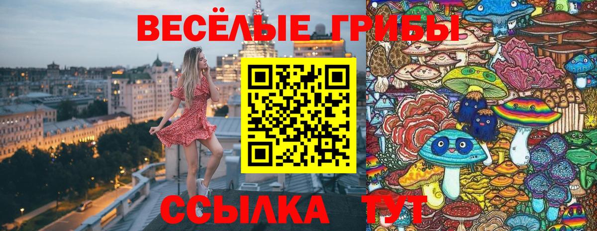 Псилоцибиновые грибы мицелий  Вход с VPN  Добрянка  Псилоцибиновые грибы Cubensis 